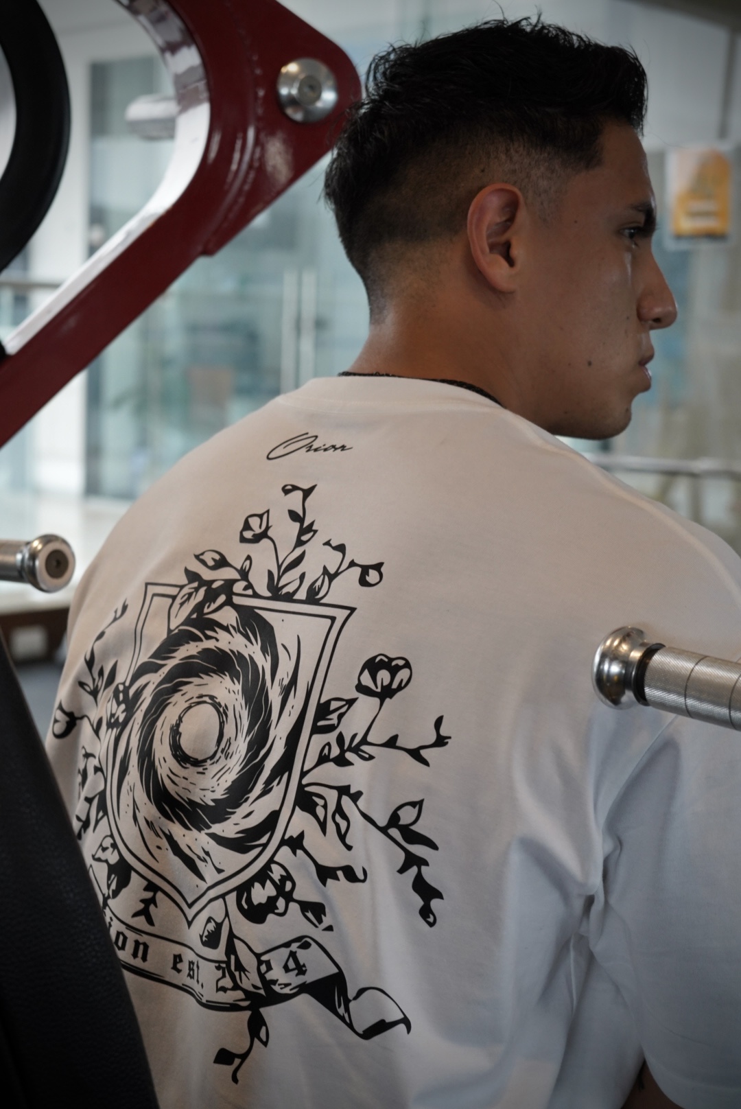 OVERSIZED SHIELD SERIES - Vista 3